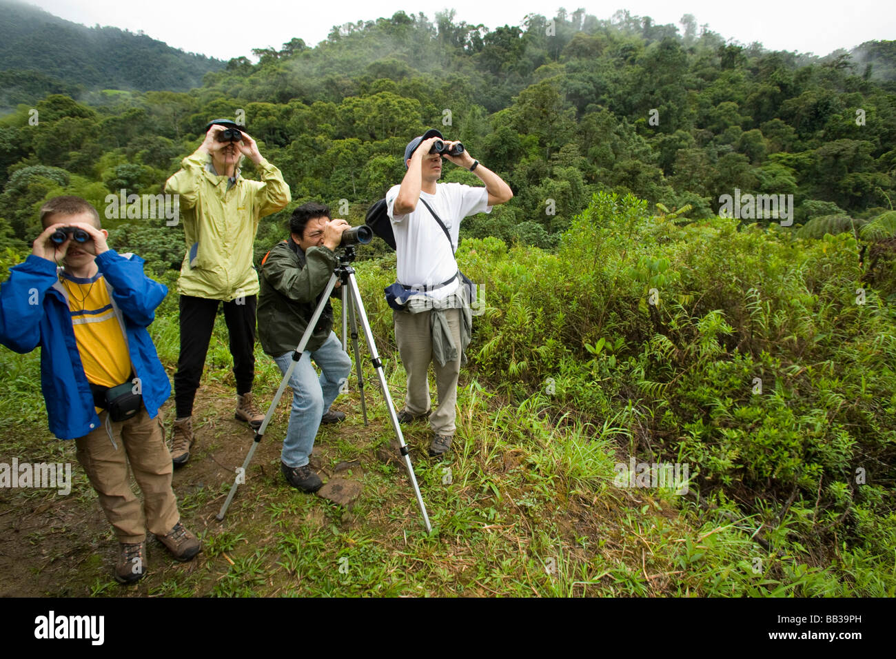 2391288534531612761allebirds Birding Trips And Birdwatching Tours In South America Fathtml