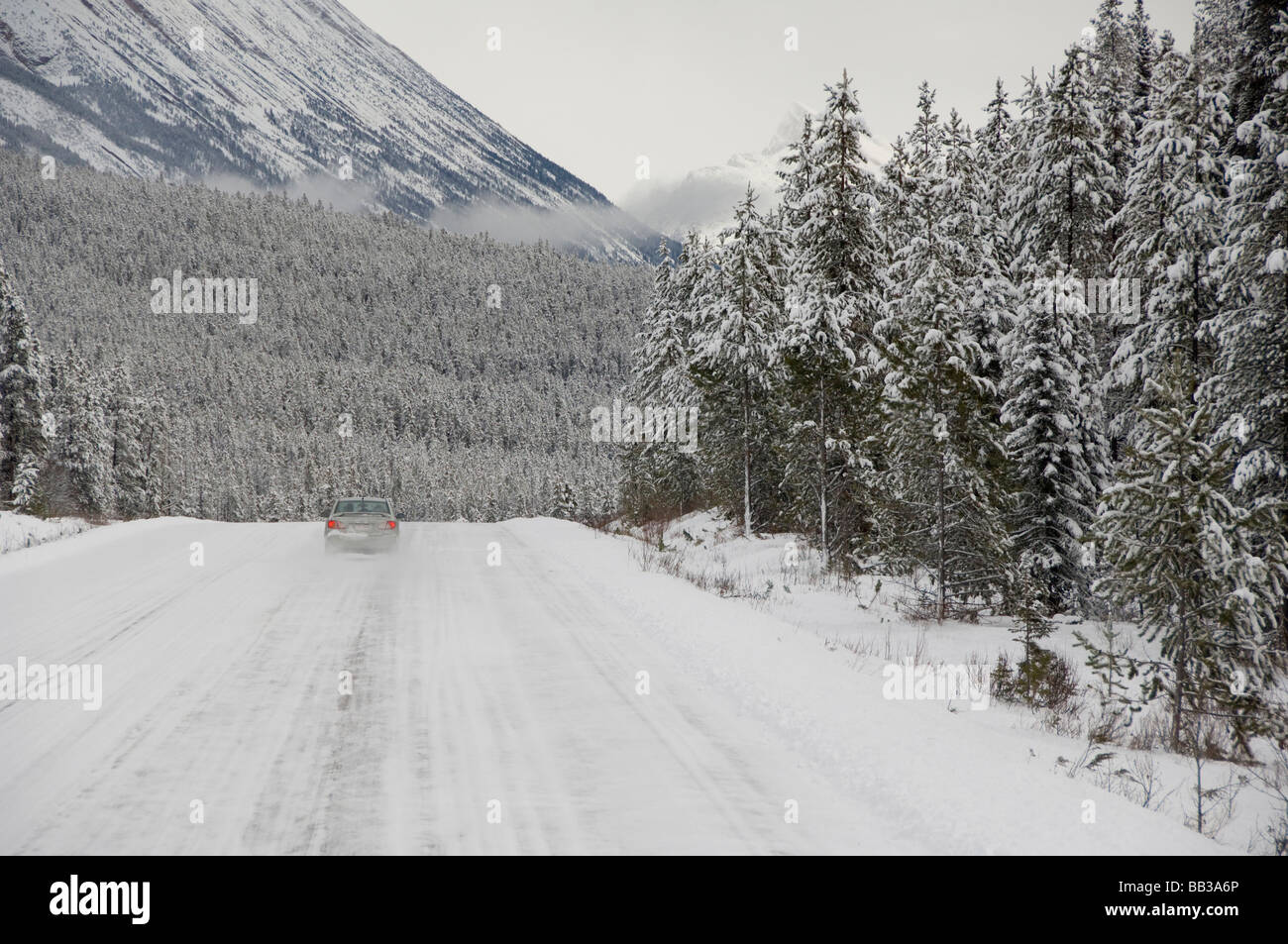 Canada, Alberta, Icefields Parkway. Jasper National Park in winter