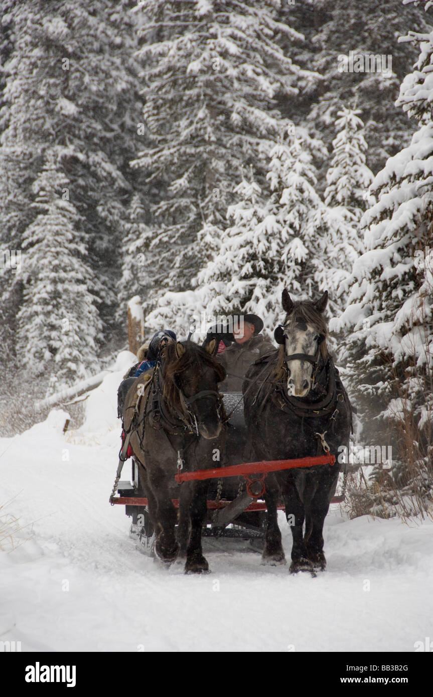 Canada, Alberta, Lake Louise. Farimont Chateau Lake Louise, winter