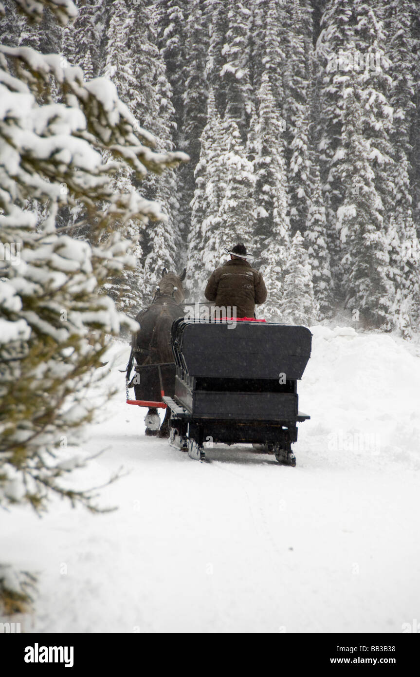 Canada, Alberta, Lake Louise. Farimont Chateau Lake Louise, winter