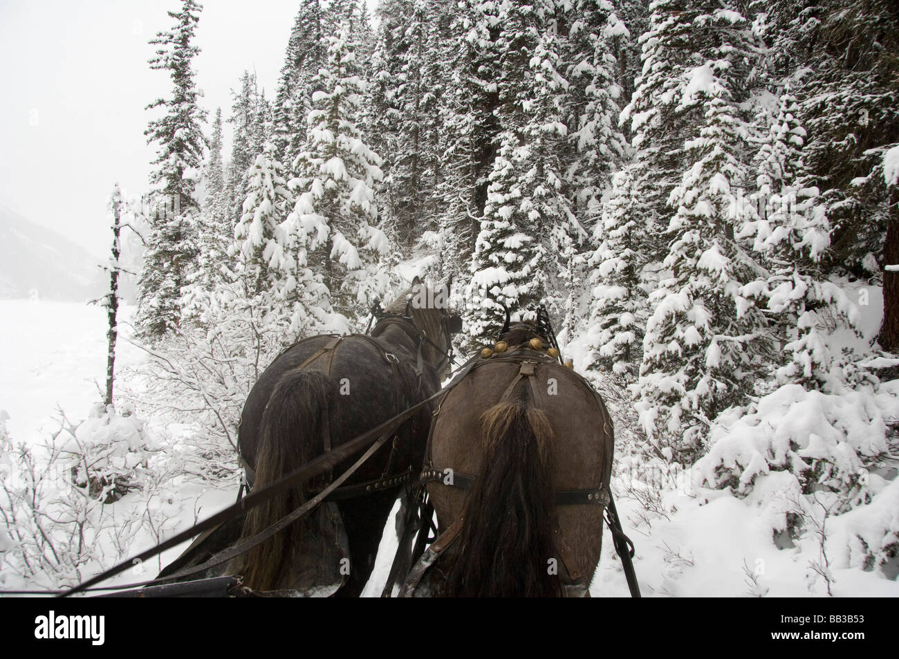 Canada, Alberta, Lake Louise. Farimont Chateau Lake Louise. Winter
