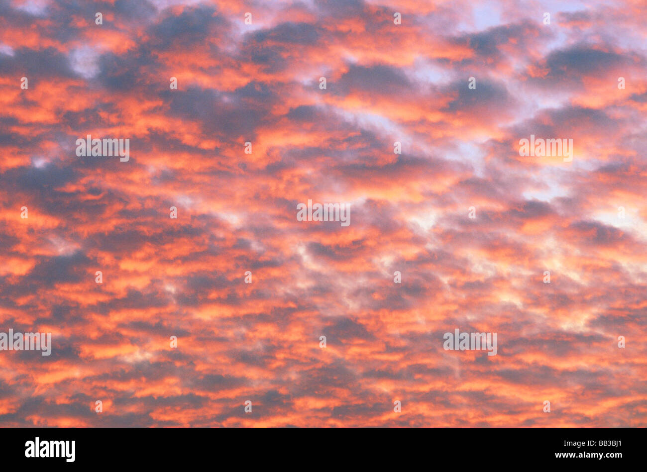 Cumulus clouds at sunset. Stock Photo