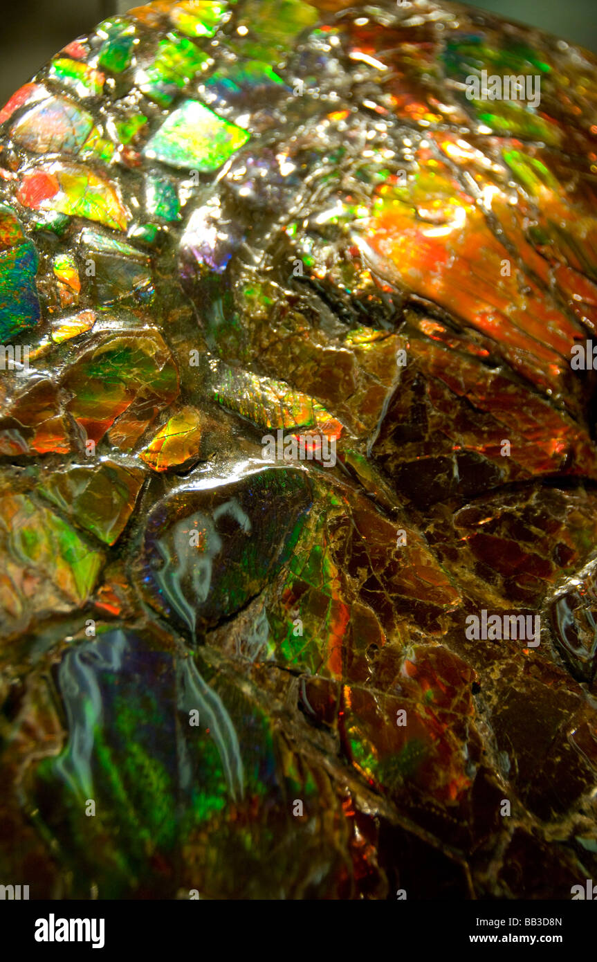 Ammolite Stock Photos & Ammolite Stock Images - Alamy