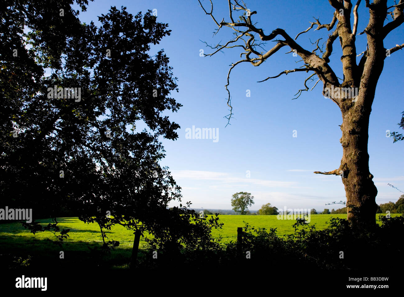 Tree windmill hires stock photography and images Alamy