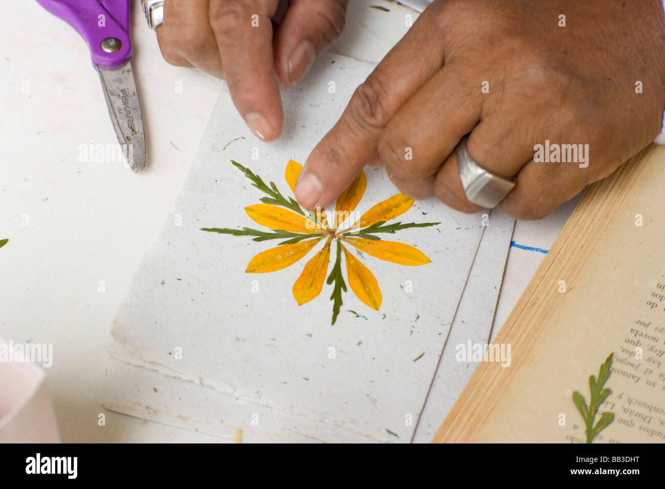 Hands of community leader making paper, women's empowerment group ...