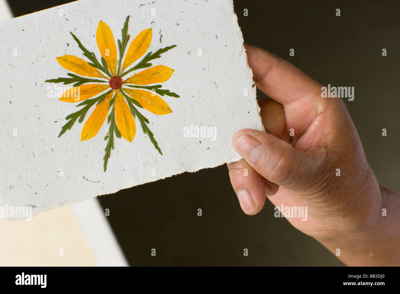 Hands of community leader making paper, women's empowerment group ...