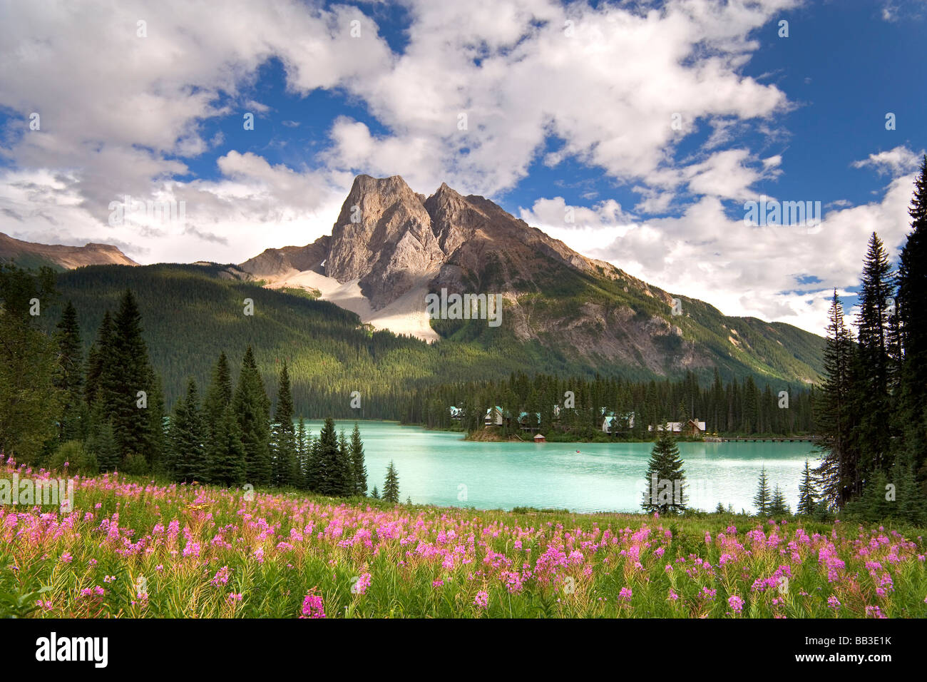 Yoyo National Park High Resolution Stock Photography and Images - Alamy