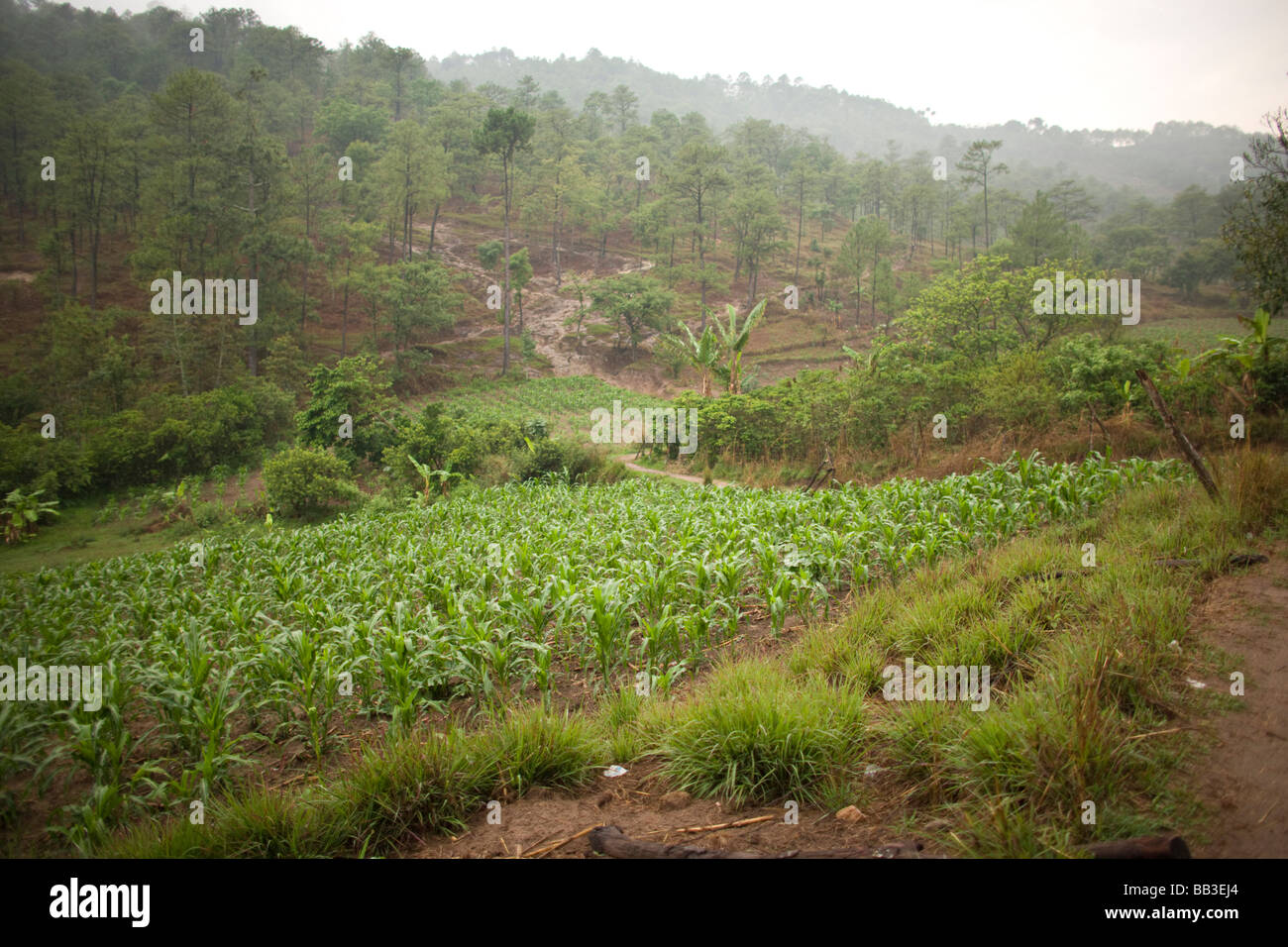 Farmland outside of Ixtahuacan Guatemala Stock Photo Alamy