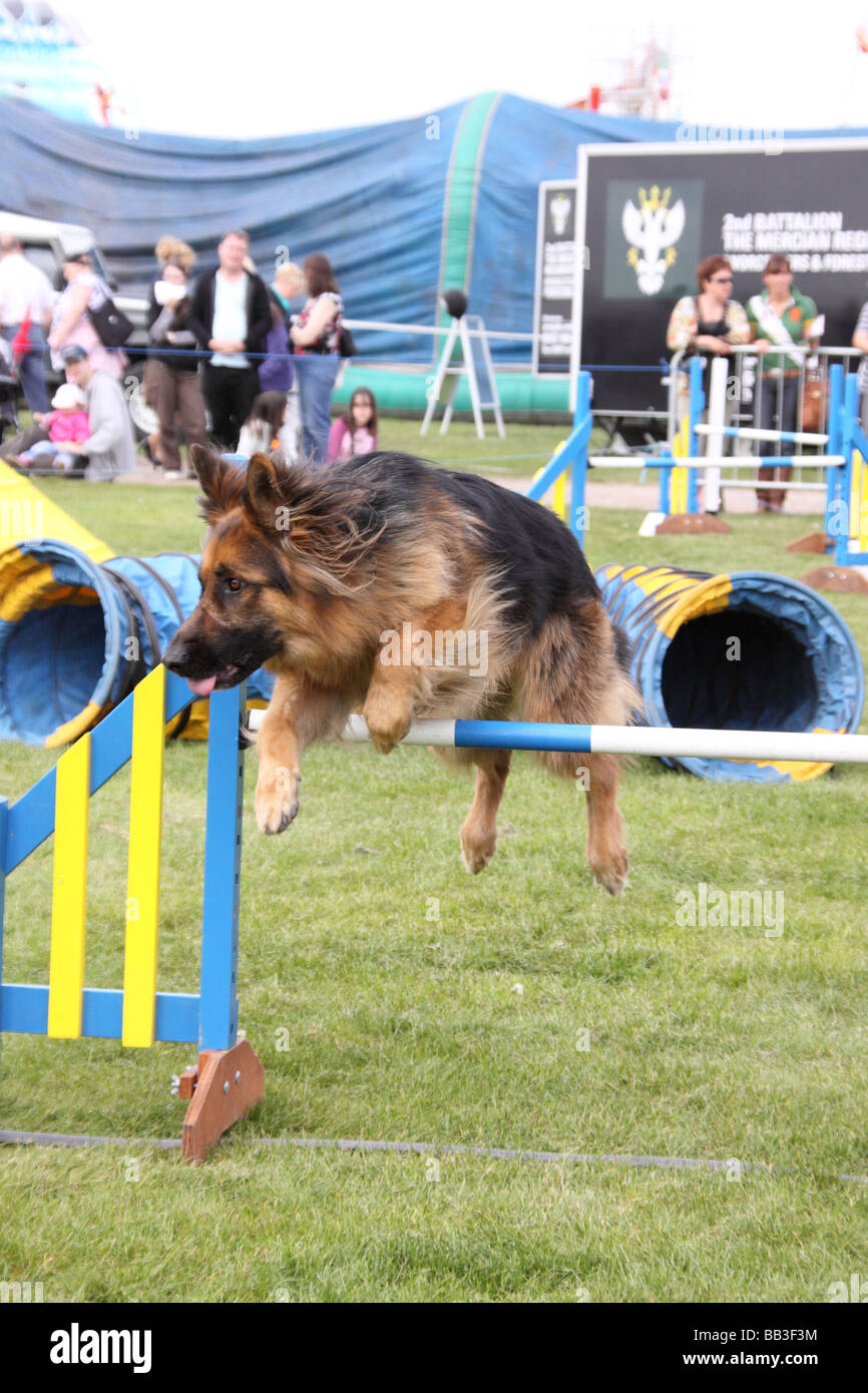 German show jumping hires stock photography and images Alamy