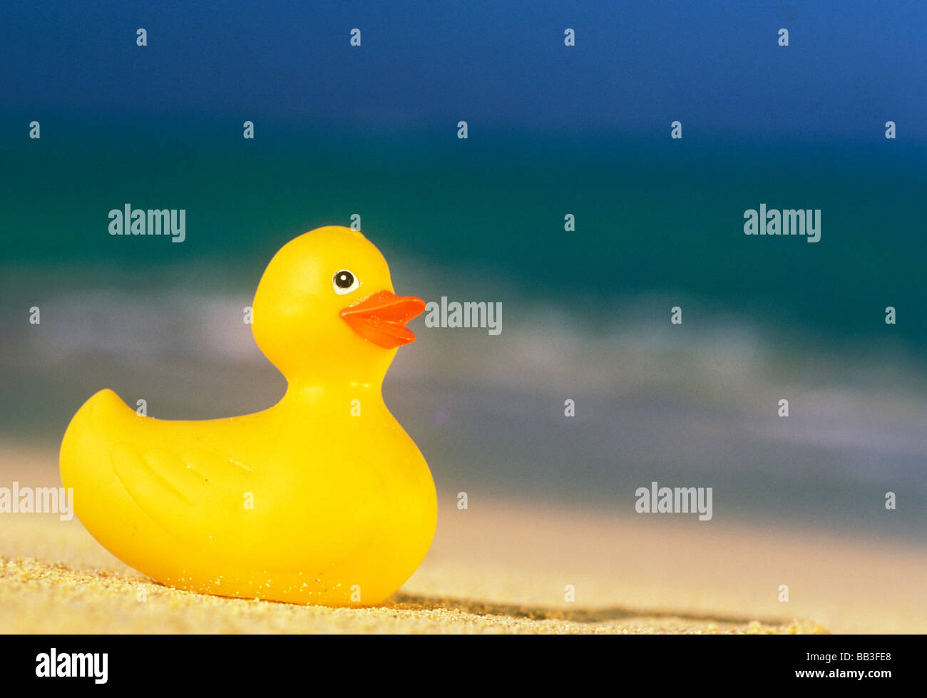 usa-hawaii-rubber-duck-on-beach-stock-photo-alamy