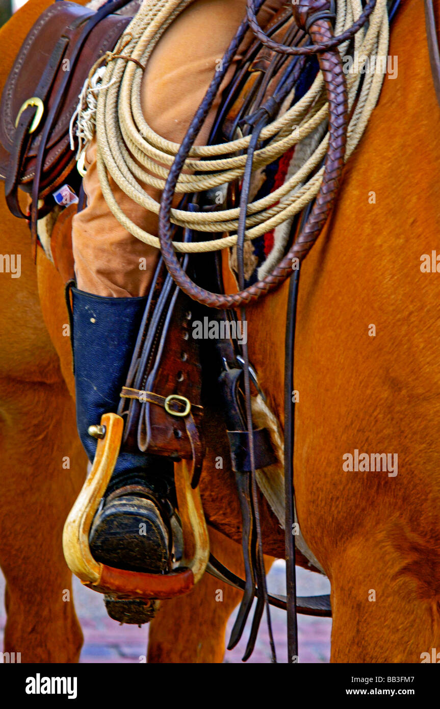 Shots of western heritage, and attire including  cowboy hats, boots, chaps, ropes, belts, stirrups, longhorn cattle and horses Stock Photo