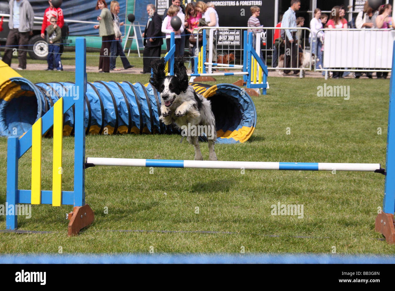 Dog Agility training at Nottinghamshire County Show Stock Photo Alamy