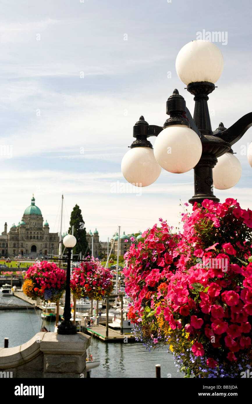 CANADA, British Columbia, Victoria. Hanging Flower Baskets Stock Photo Alamy