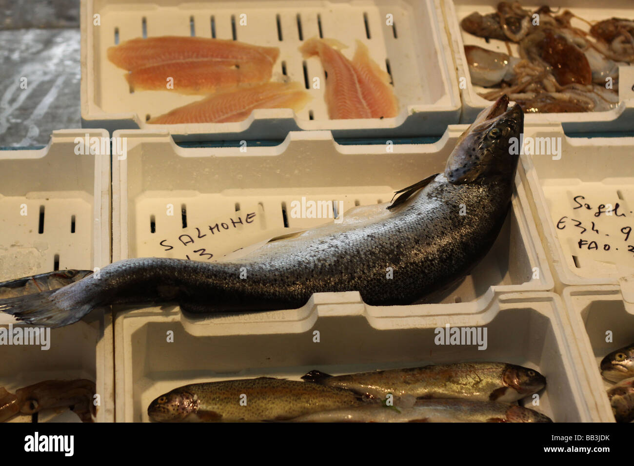 Salmon fish at a market in Rome, Italy. Stock Photo