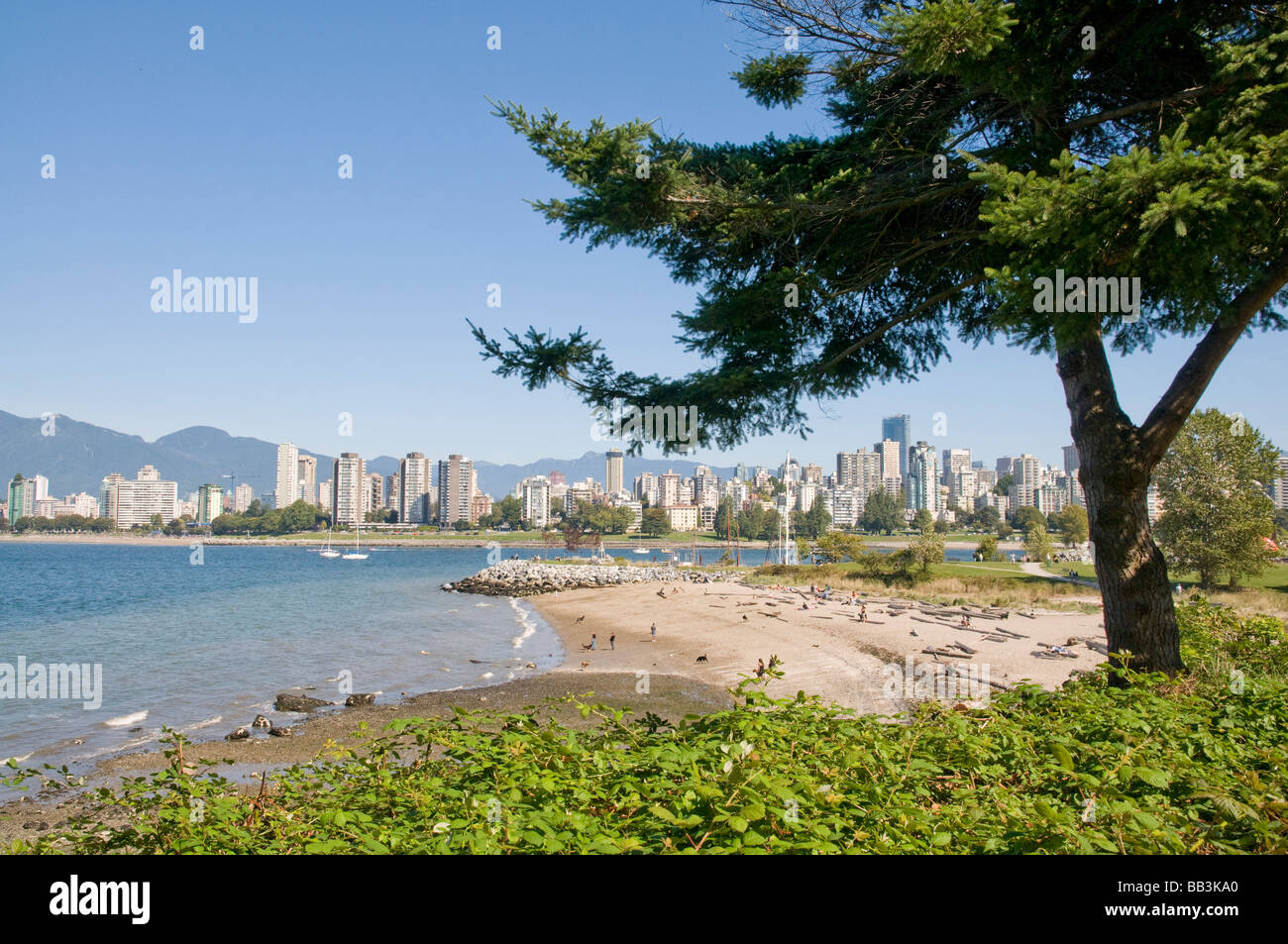 Kitsilano Beach park overlooking English Bay and the skyline of