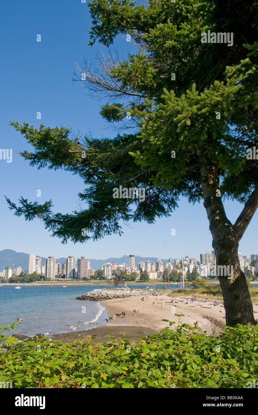 Kitsilano Beach park overlooking English Bay and the skyline of