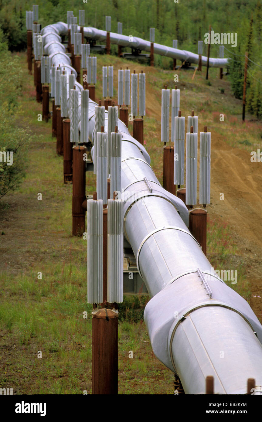 North America, USA, Alaska. Trans-Alaskan Pipeline Stock Photo