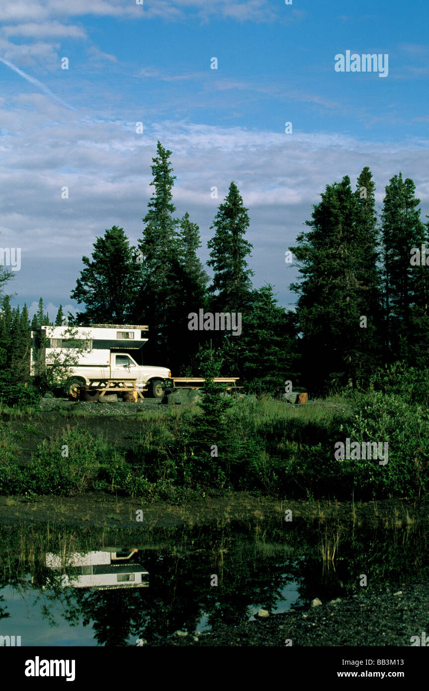 North America, USA, Alaska, Denali National Park. Grizzly Bear crosses