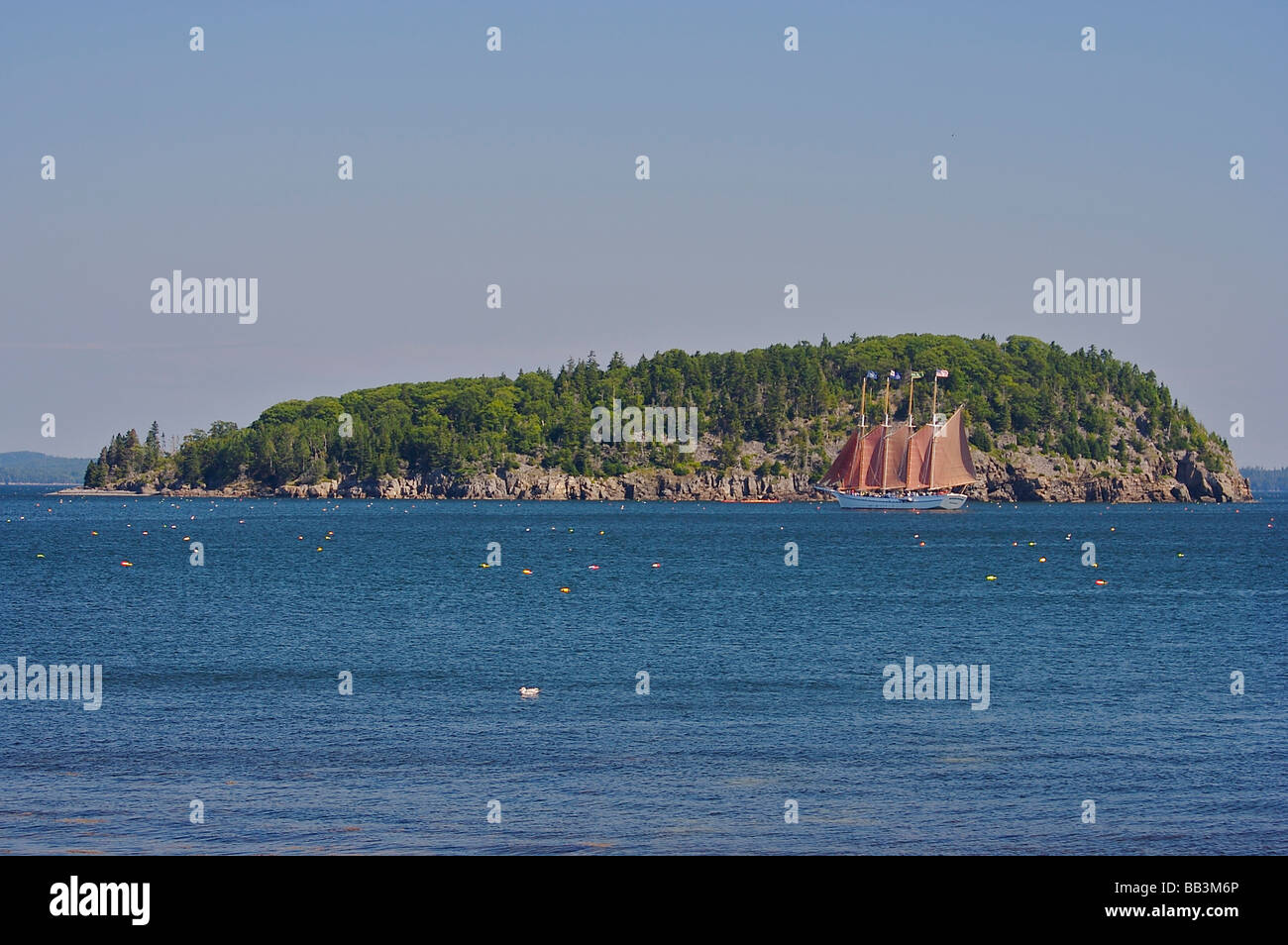 North America, USA, Maine, Bar Harbor. The schooner Margaret Todd sailing on a sightseeing