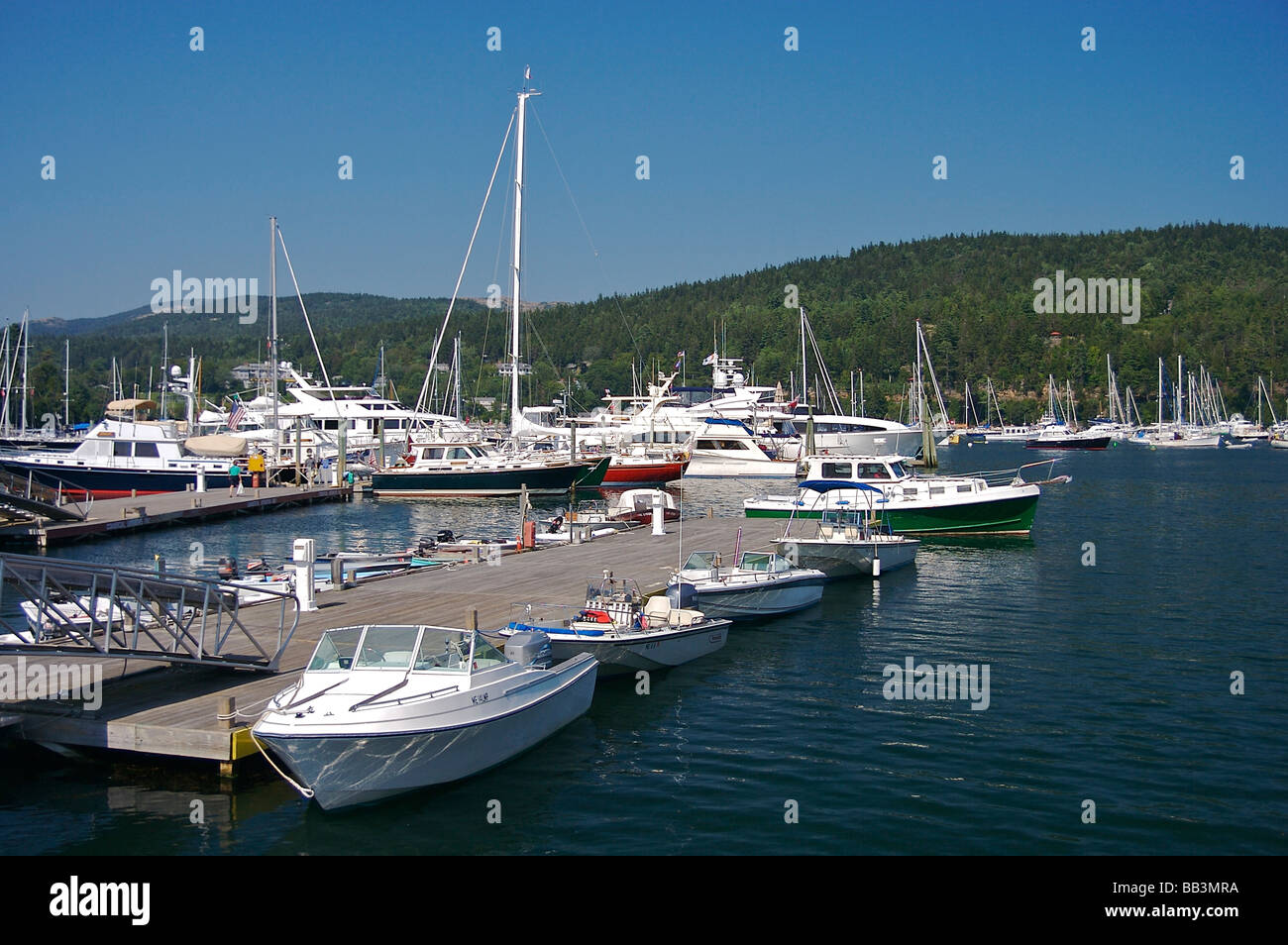 North America, USA, Maine, Mount Desert, Northeast Harbor. Boats docked