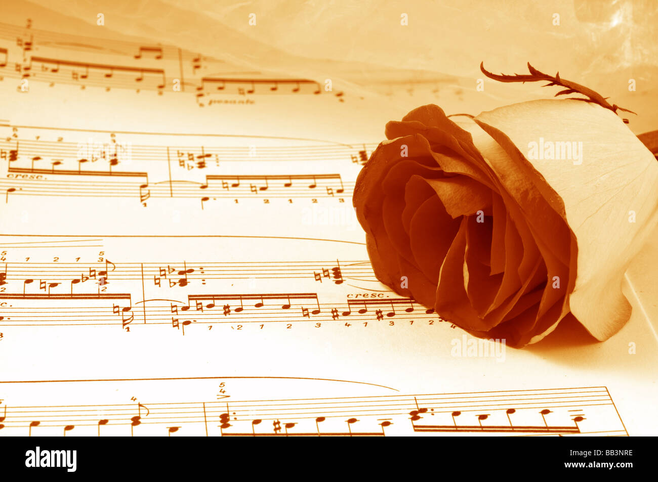 flowers and notes Stock Photo Alamy