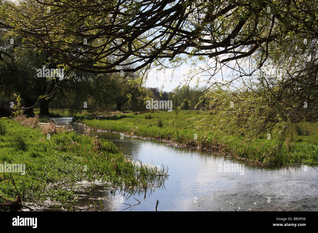 Stream through Kent countryside Stock Photo
