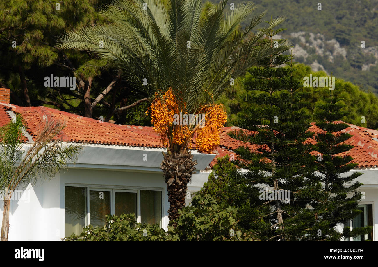 Hotel. Kemer, Turkey Stock Photo - Alamy