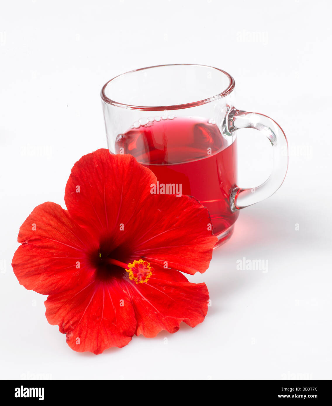 Hibiscus flower tea and hibiscus flower Stock Photo Alamy