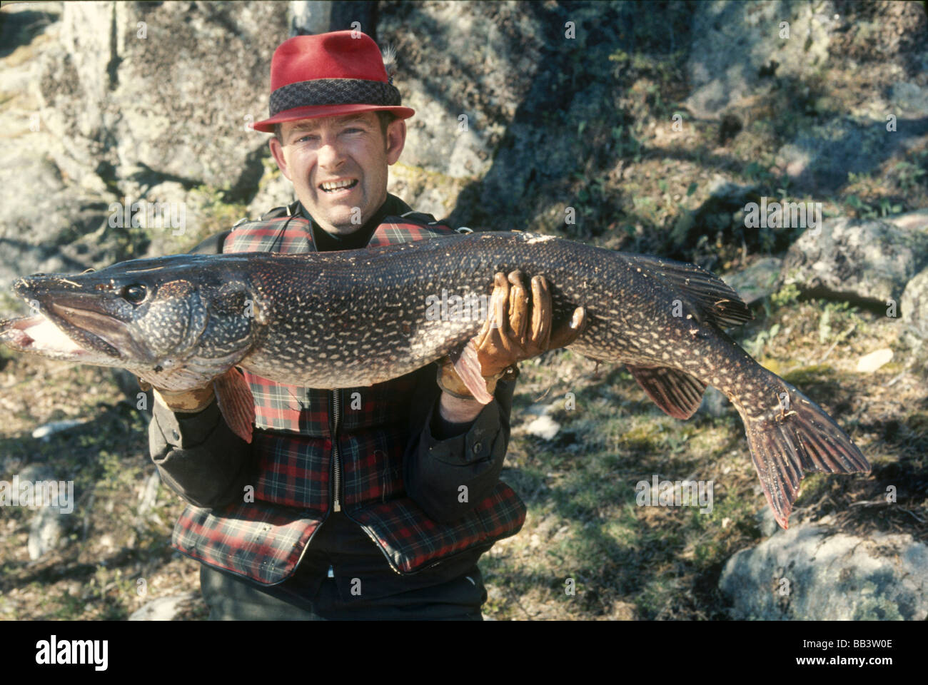 Northern Pike caught  on the shore in the Lake Kawnipi area of the Boundary Waters Stock Photo