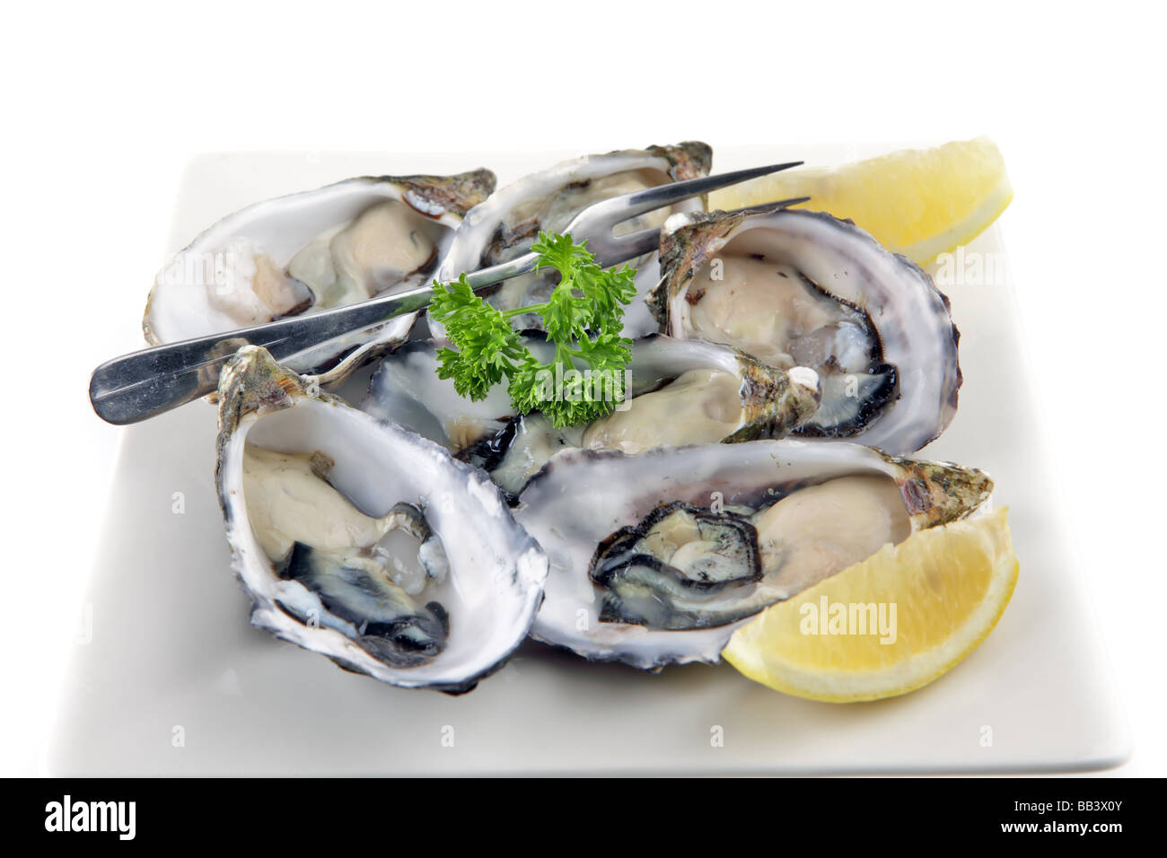 Plate of oyster ready to be eaten with garnish and fork Stock Photo