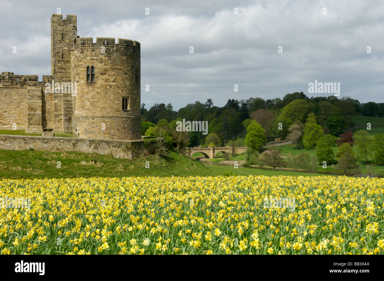 Alnwick Castle, Northumberland, Britain Stock Photo Alamy