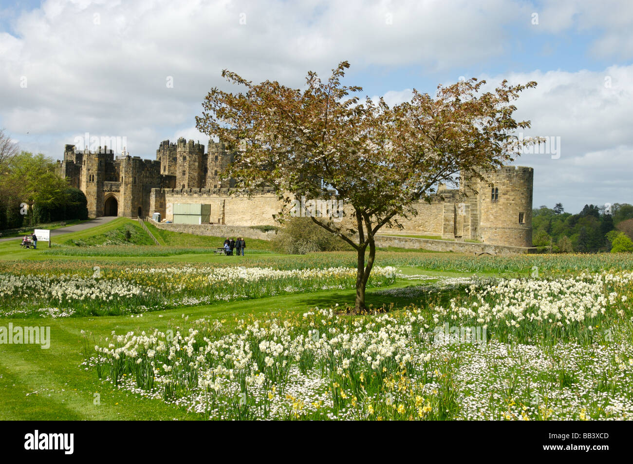 Alnwick Castle, Northumberland, Britain Stock Photo Alamy