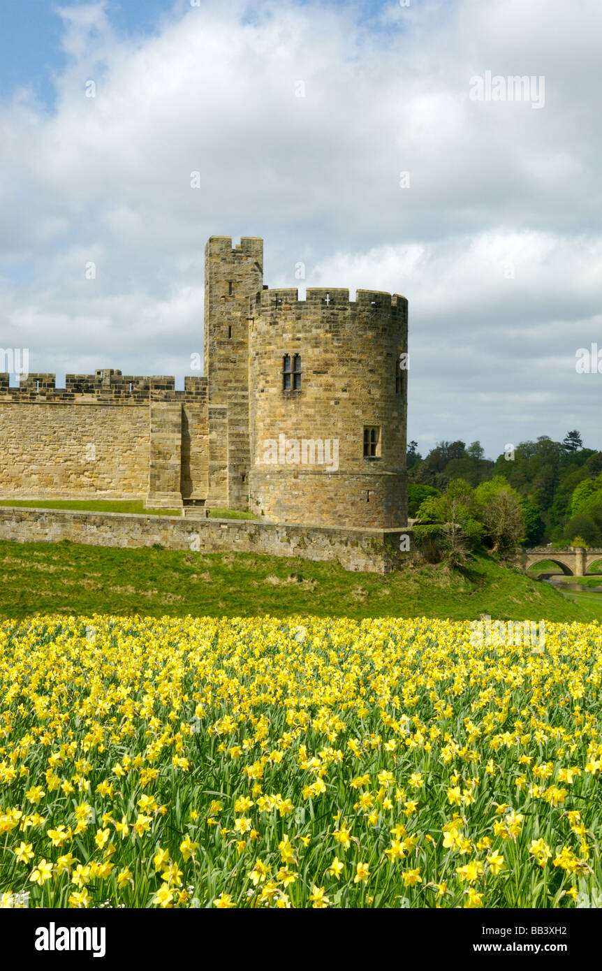 Alnwick Castle, Northumberland, Britain Stock Photo Alamy
