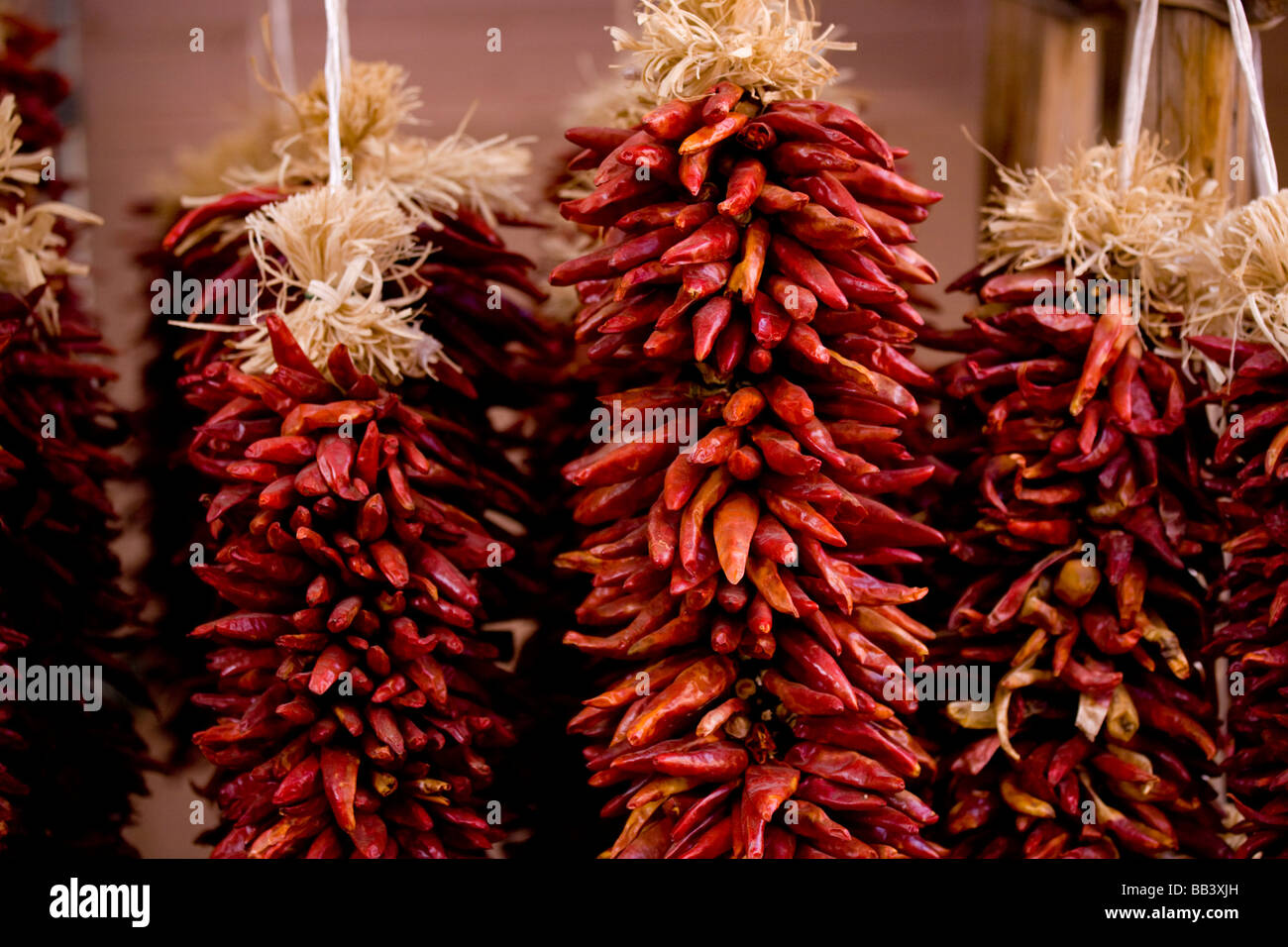 NA, USA, New Mexico, Santa Fe, Plaza, Dried Strings of Chili Peppers