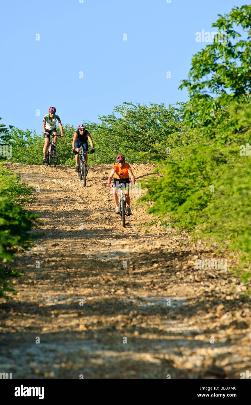 Mountain biking in Washington Slagbaai National Park, Bonaire Stock Photo