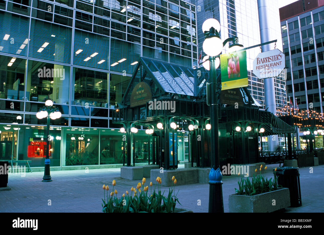 North America, Canada, Ontario, Ottawa. Bank Street Promenade lit up at