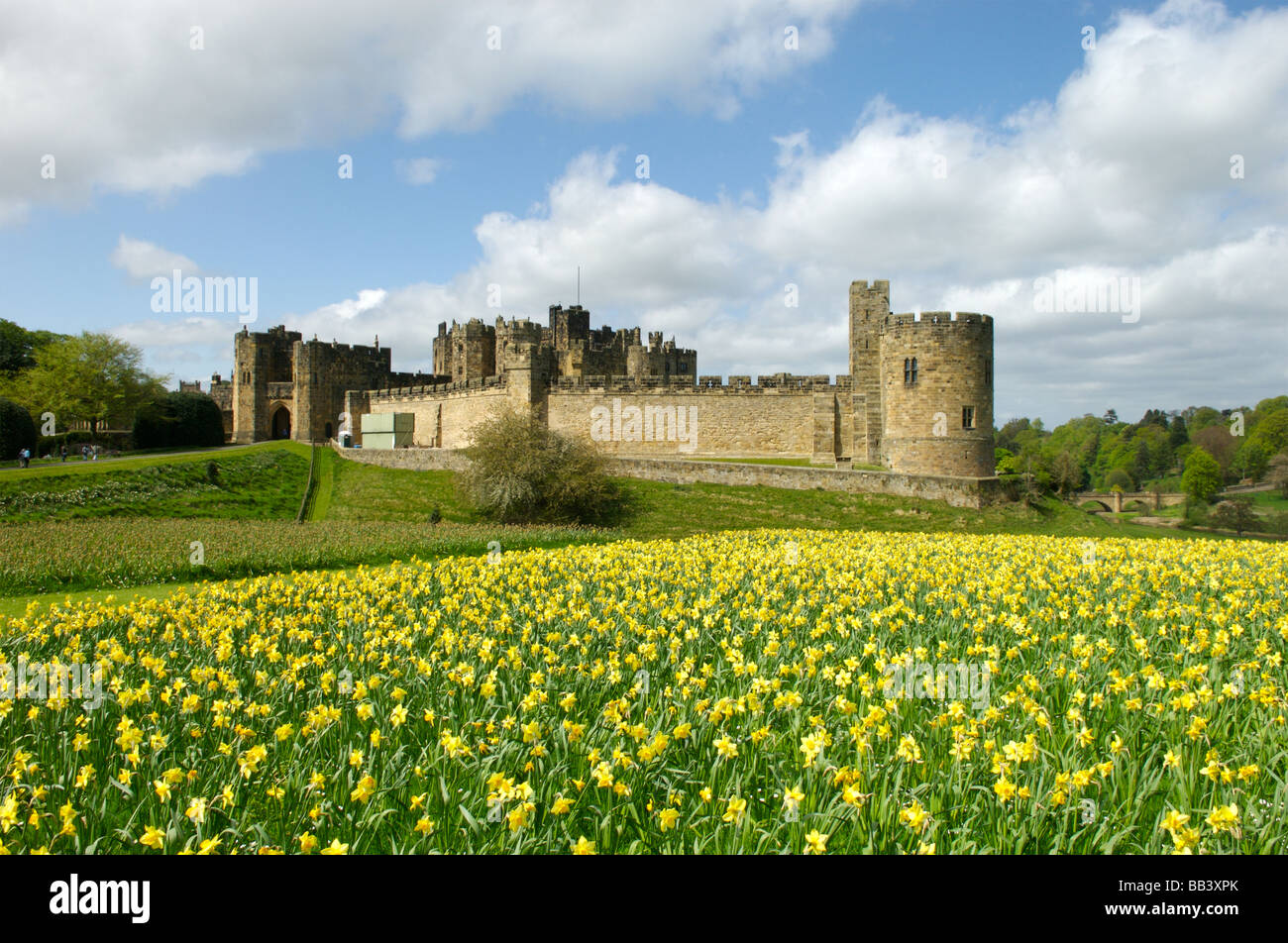 Alnwick Castle, Northumberland, Britain Stock Photo Alamy