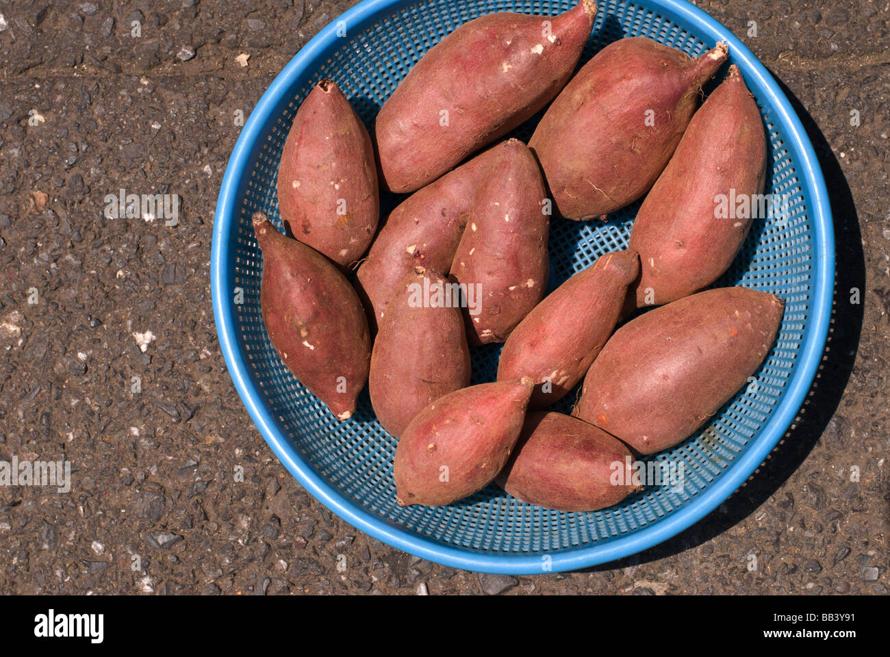 Detail of Japanese sweet potatoes (satsumaimo) at Ameyokocho (or