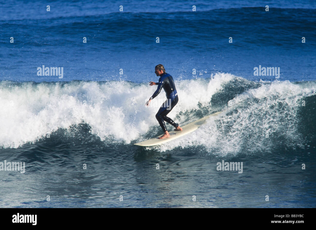 Surfer riding waves,longboard, Baja California Mexico Stock Photo Alamy