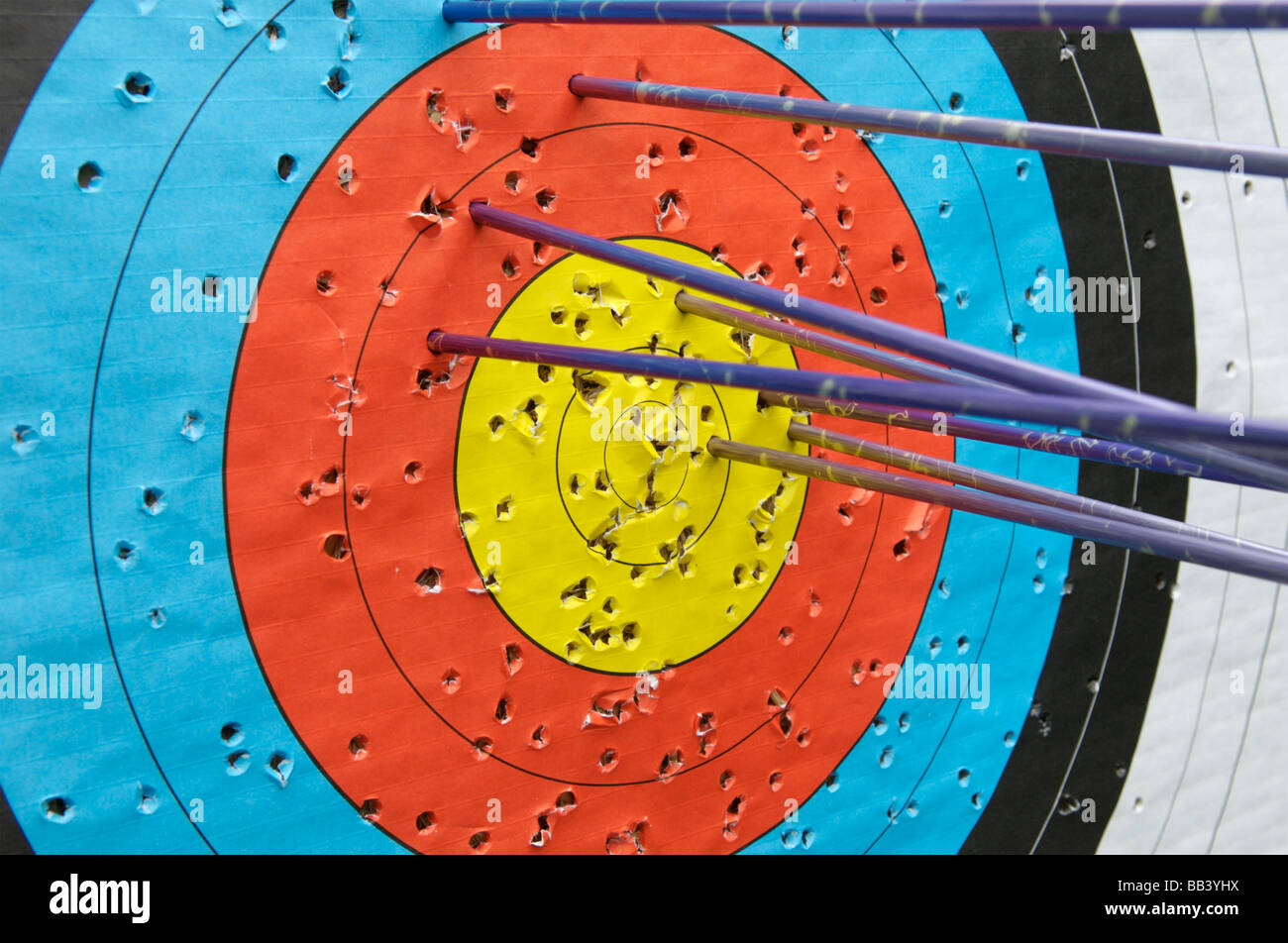 Arrows in an Archery target Stock Photo Alamy