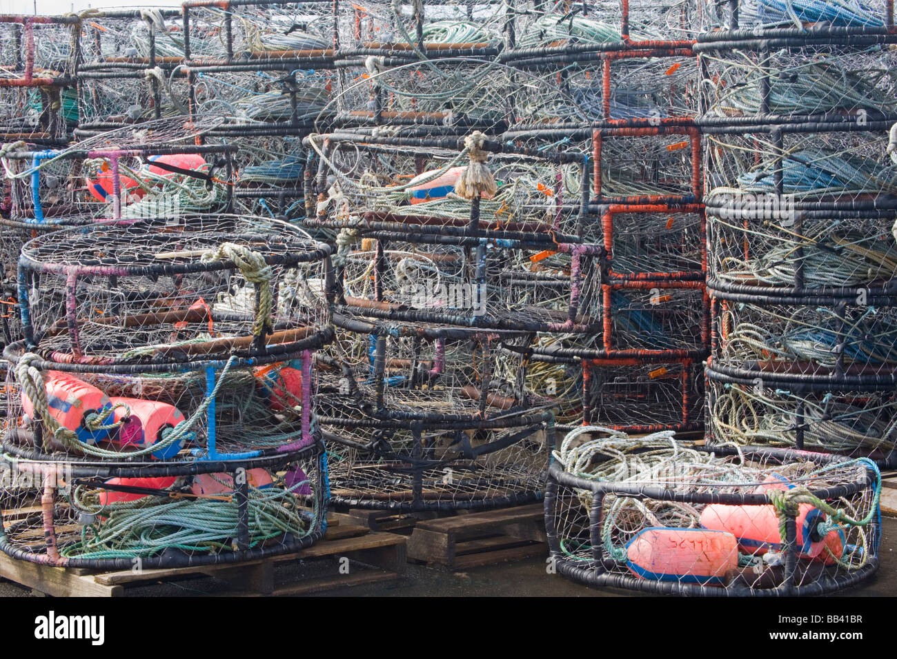 OR, Oregon Coast, Newport, Crab pots, at the Port of Newport Stock