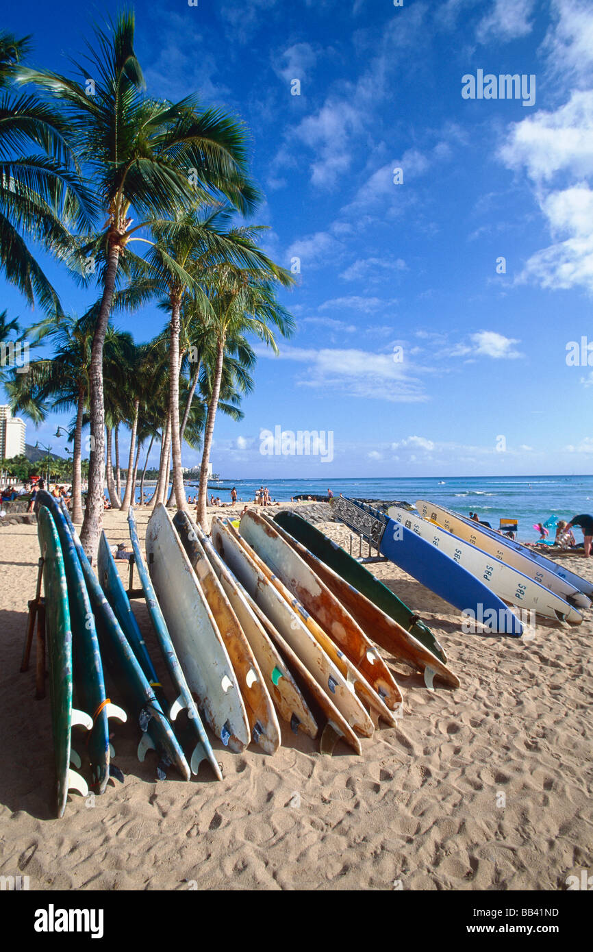 Vertical View of Colorful Surfboards on Waikiki Beach Honolulu Hawaii