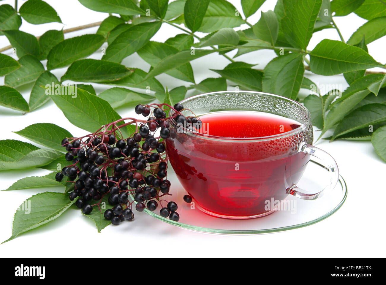 Tee Holunder tea elder 02 Stock Photo