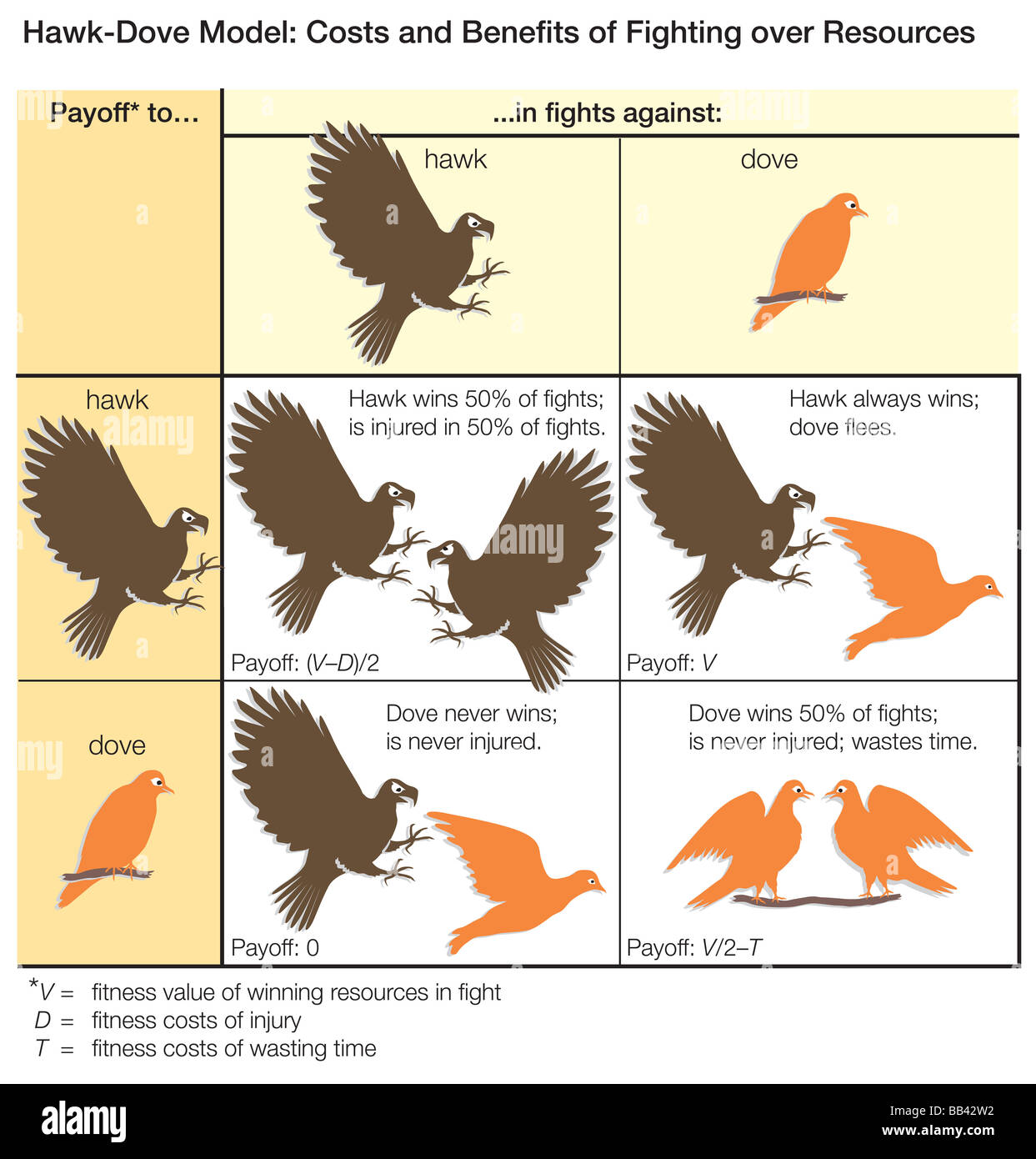 The Hawk-Dove model of game theory, illustrating the costs and 