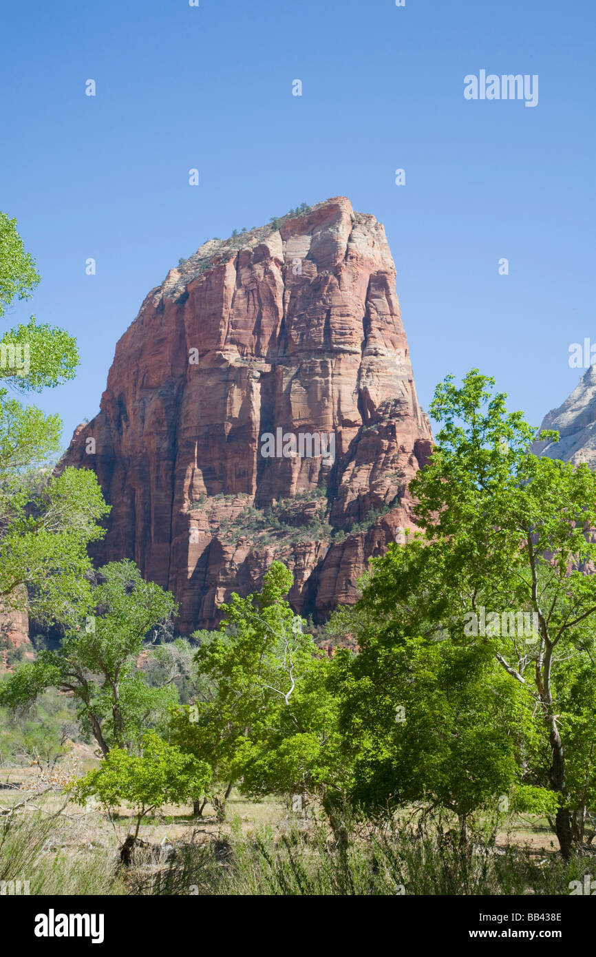 Utah, Zion National Park, Angels Landing, towers 1488 feet above the canyon floor Stock Photo