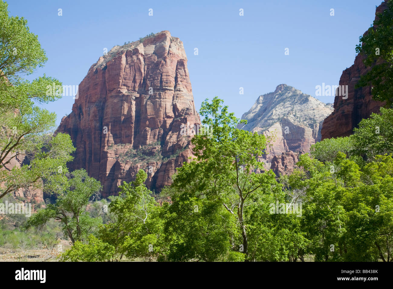 Utah, Zion National Park, Angels Landing, towers 1488 feet above the canyon floor Stock Photo