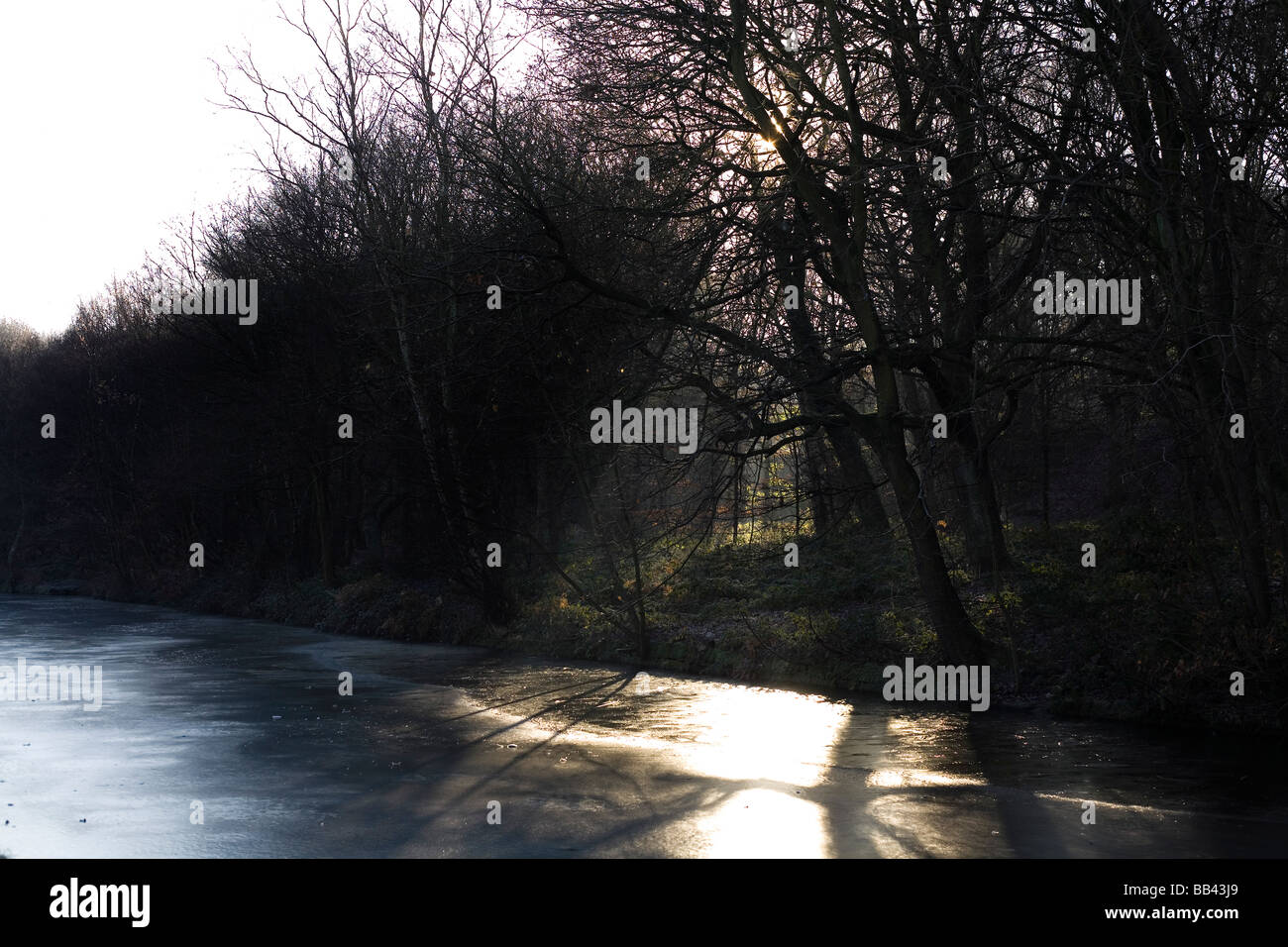 Frozen canal Canal Walk Leeds West Yorkshire Dec 2008 Stock Photo