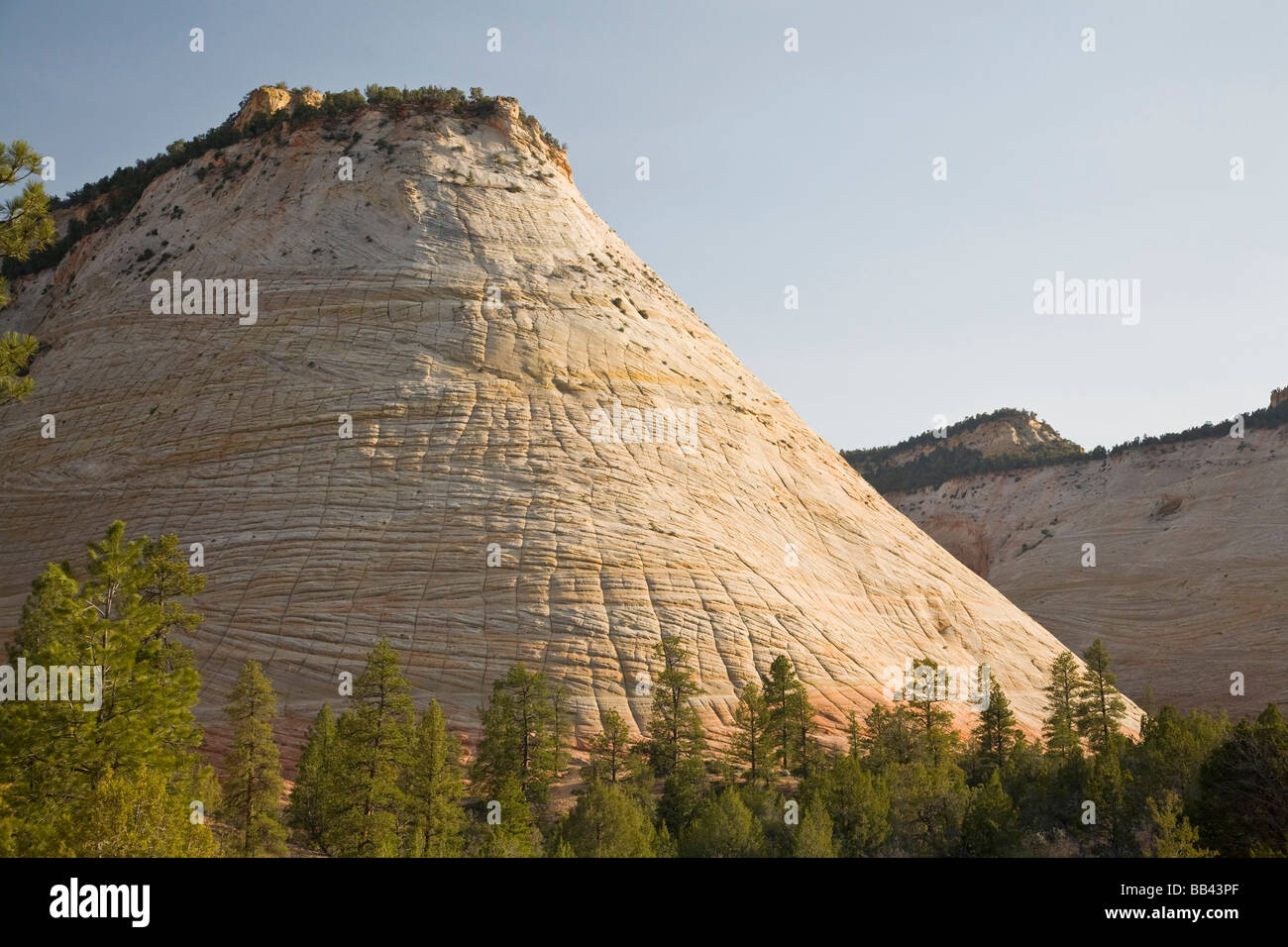 Checkerboard formation hi-res stock photography and images - Alamy