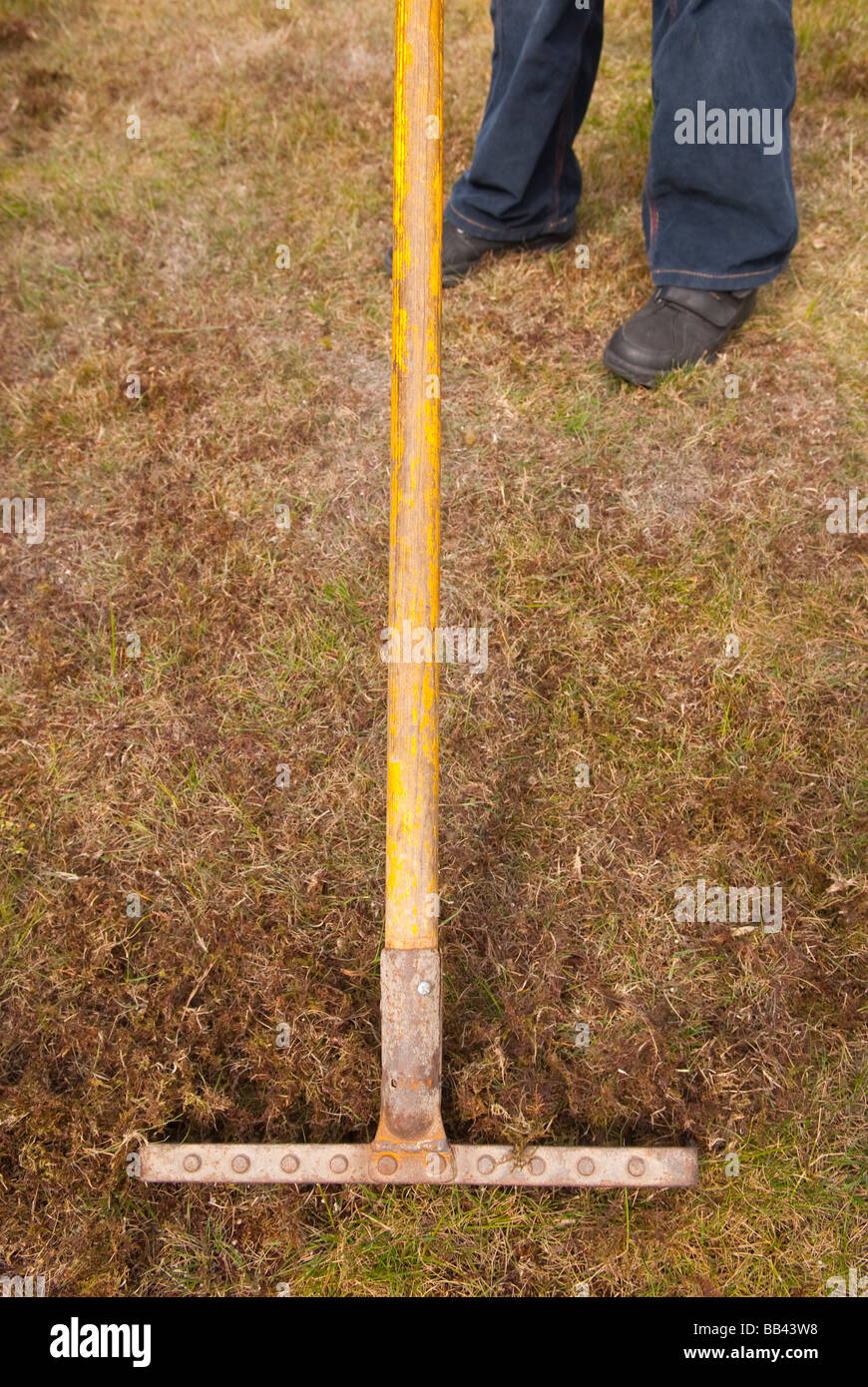 Dead moss hires stock photography and images Alamy