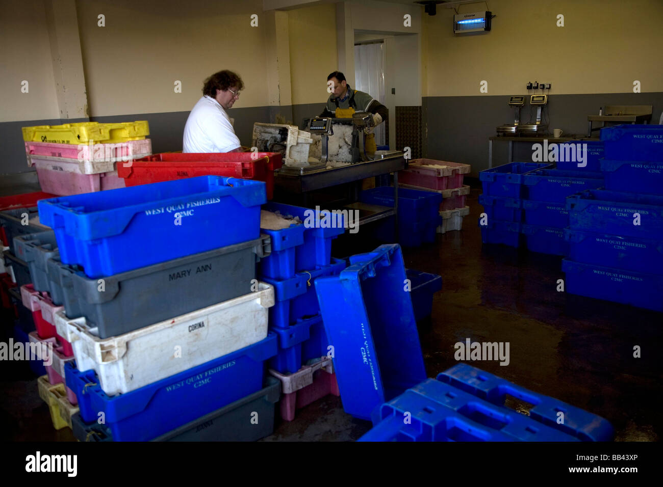 Fish processing hires stock photography and images Alamy